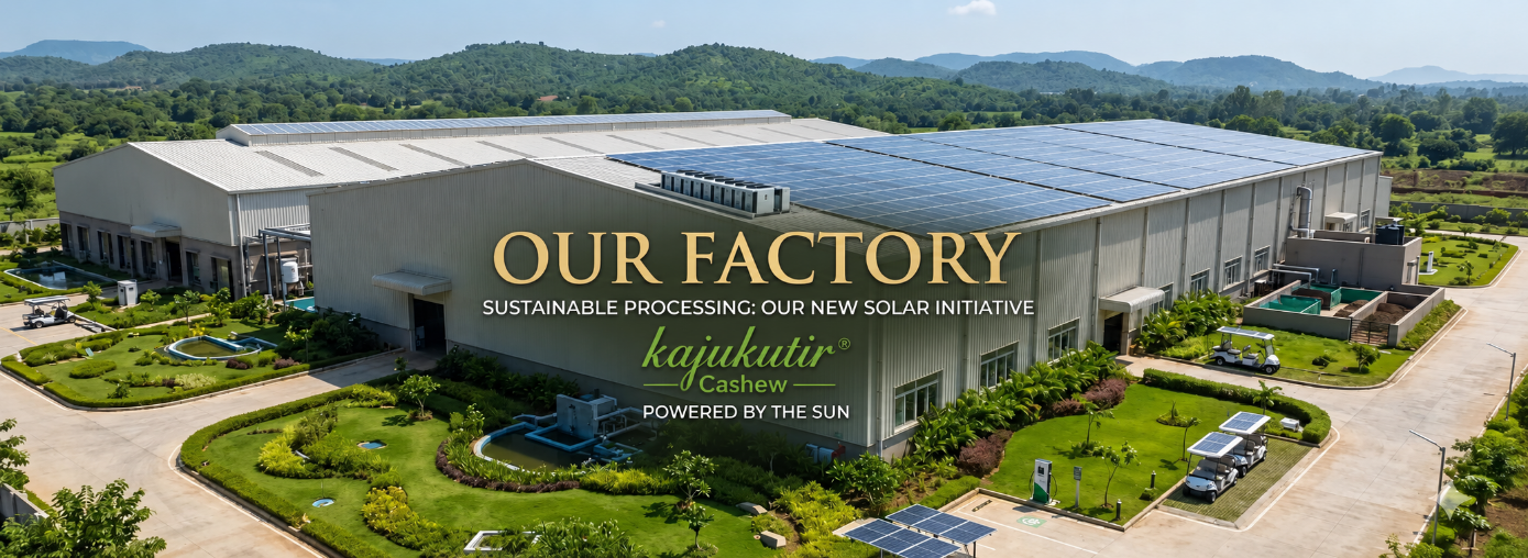 Sustainable Processing: Our New Solar Initiative