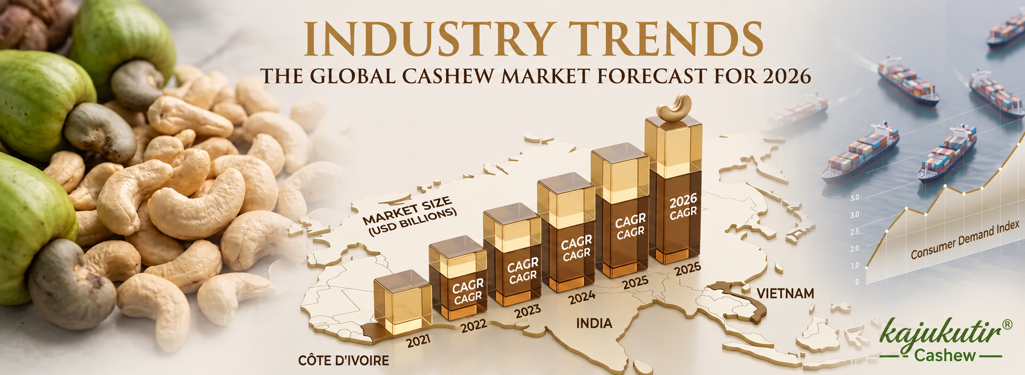Cashew Sourcing